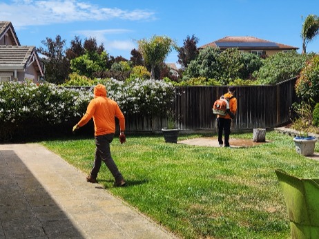 Palucho's Gardening