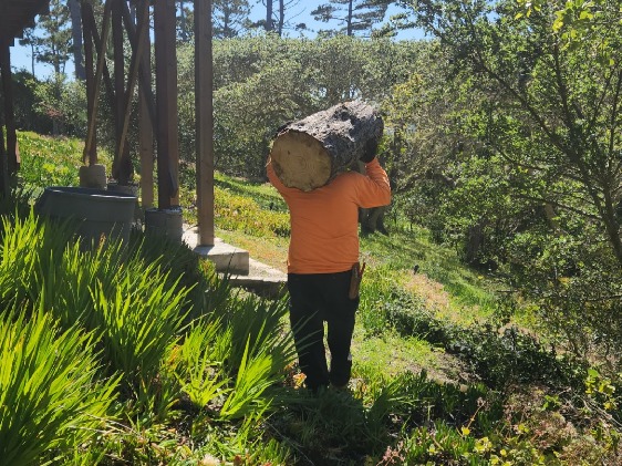 Palucho's Gardening