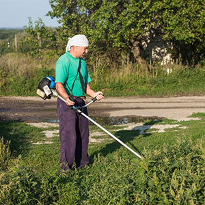 Palucho´s Gardening